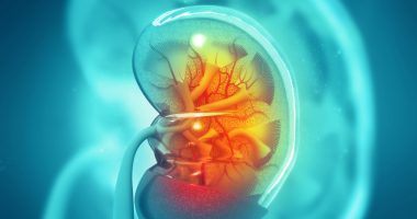 early ERT linked to better outcomes/fabrydiseasenews.com/chronic kidney disease