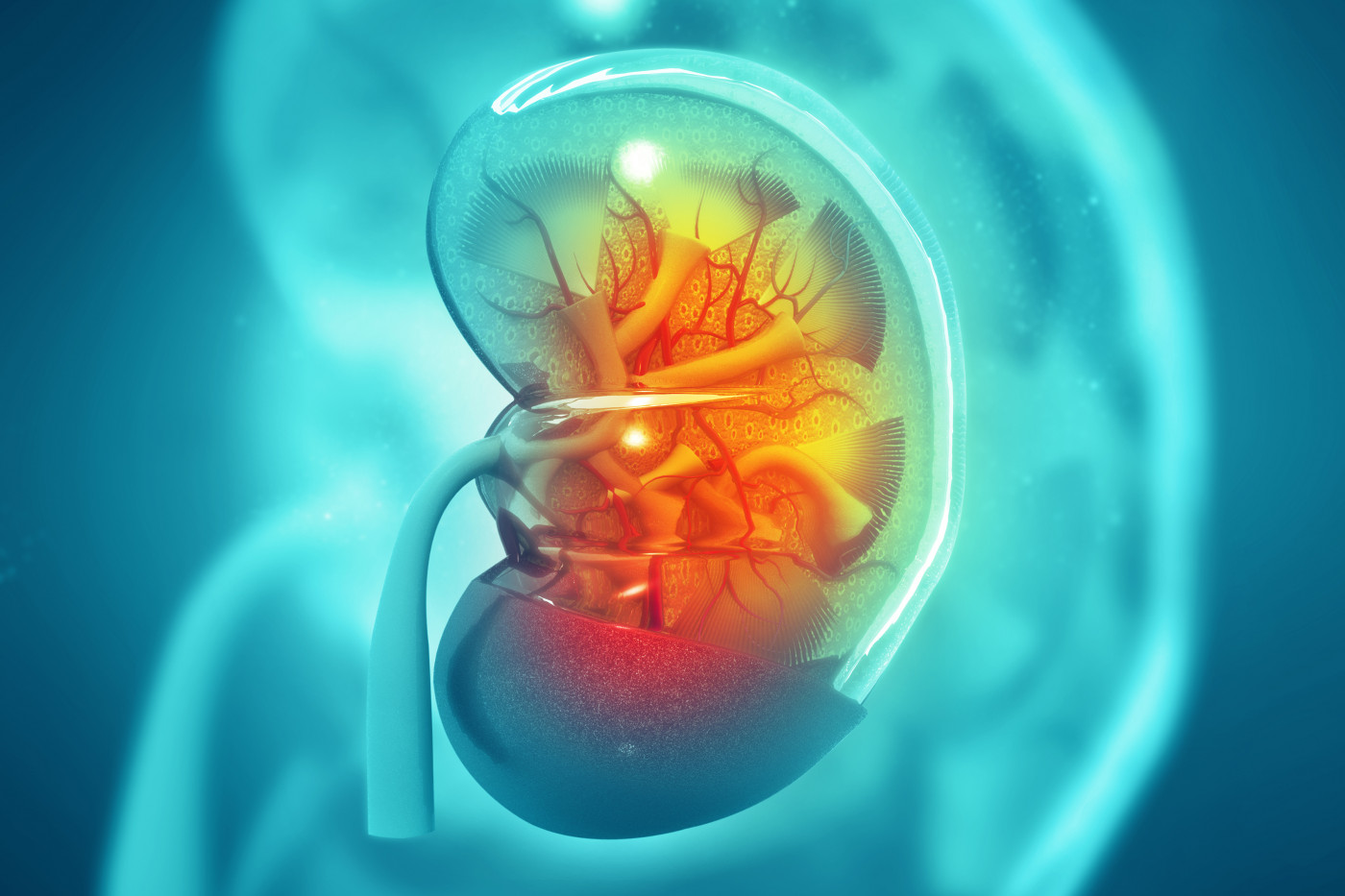 early ERT linked to better outcomes/fabrydiseasenews.com/chronic kidney disease