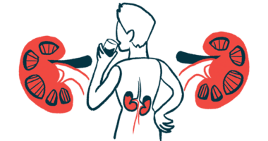 This illustration highlights the kidneys, as shown from behind, of a person taking a drink.