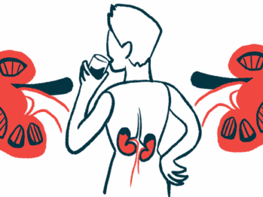 This illustration highlights the kidneys, as shown from behind, of a person taking a drink.