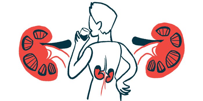 This illustration highlights the kidneys, as shown from behind, of a person taking a drink.