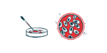 A dropper is poised over a petri dish alongside an aerial view of another petri dish.