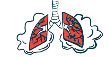 A pair of human lungs is depicted.