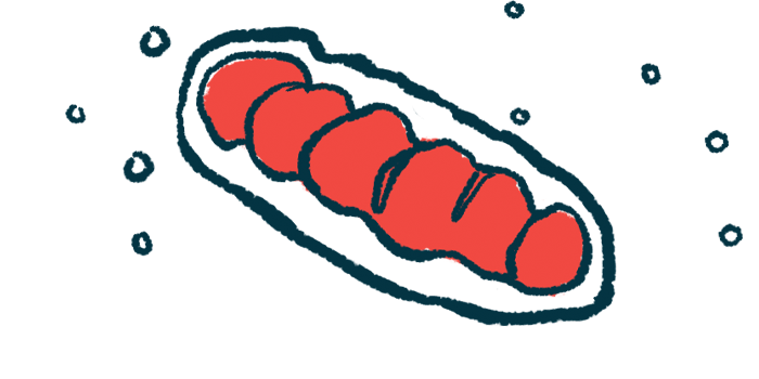 TRAP1 mitochondria | Fabry Disease News | Pre-clinical Study | illustration of mitochondria