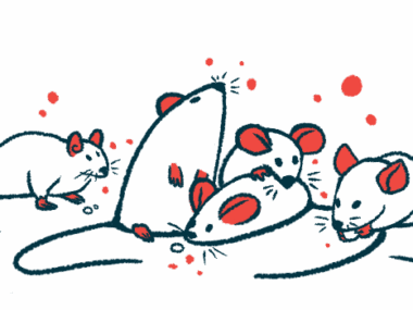 A group of mice represent a mouse model.