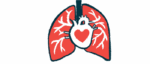 A heart-shaped image is superimposed over the human heart in this illustration of the heart and lungs.